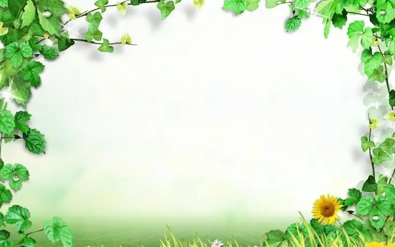 绿色植物边框背景素材设计壁纸
