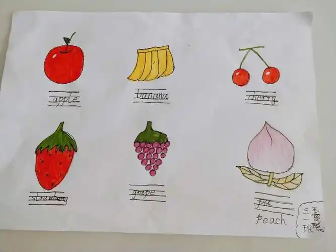 用图画本画一些水果类,要求打四线三格并写上英语单词