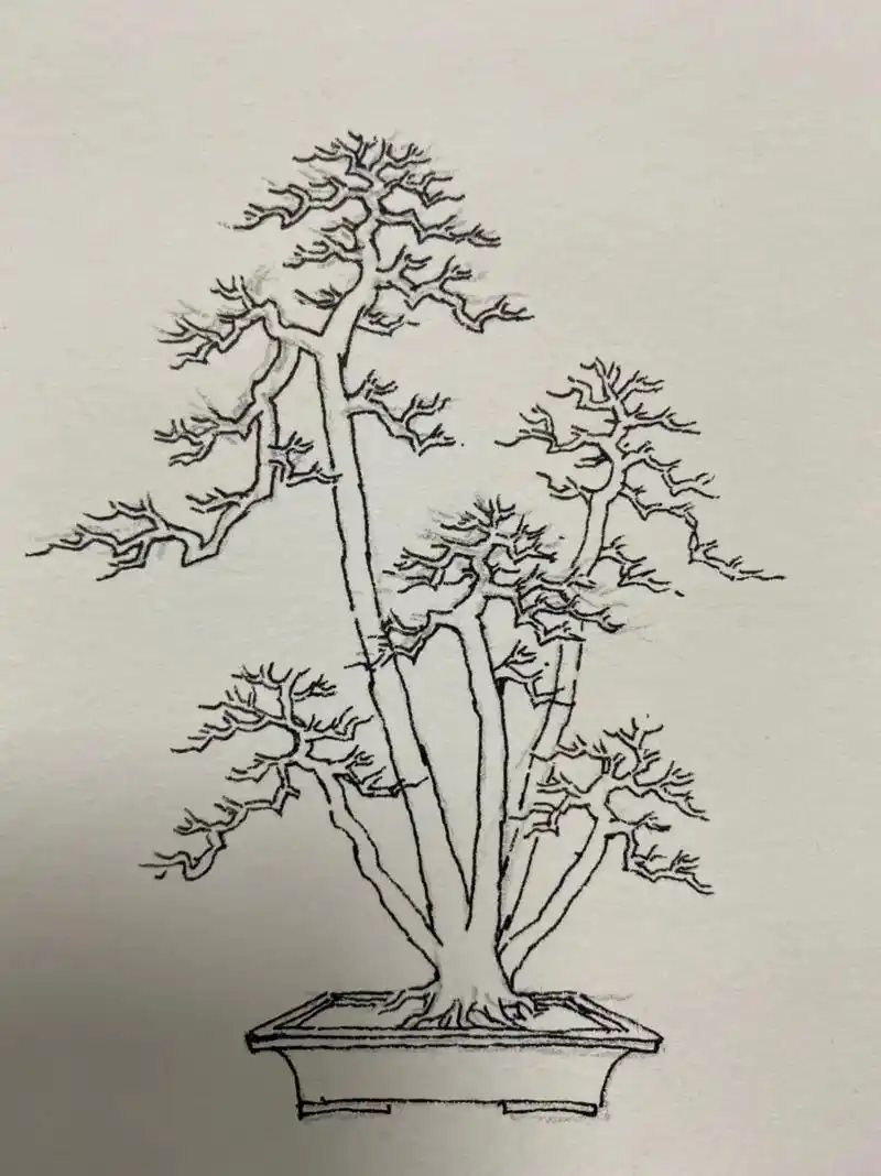 大树型,双杆,三杆,五杆,不同的感觉,#绘画过程分享 #作品 - 抖音