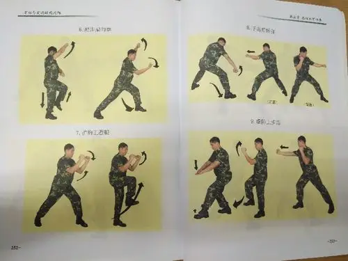第四套军体拳连续演示图