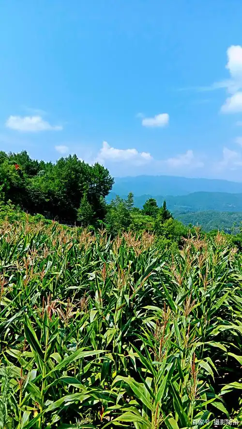 万源曾家乡,乡村风景,自然风光,农家小院,烟霞山