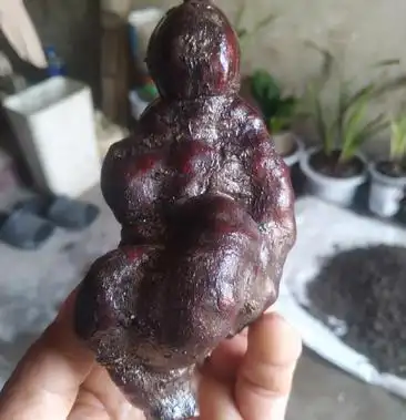 [何首乌批发]何首乌价格200000.00元/个 - 一亩田