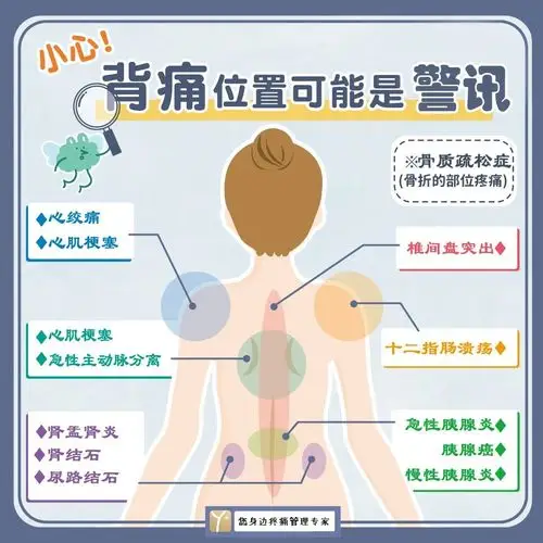 日本泌尿科医师后藤百万将背痛位置分为五大区,根据左上背痛,右上背痛