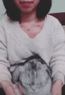 表情包比心心比个壮汉