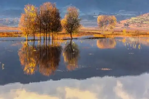 中国云南会泽念湖山水光影树林风景