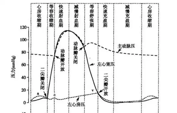 生理学心室压力达最大为快速射血期那么最低处为何时为什么