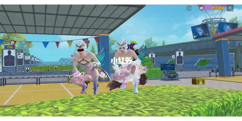 姐妹们,这是什么情况#和平精英皮肤