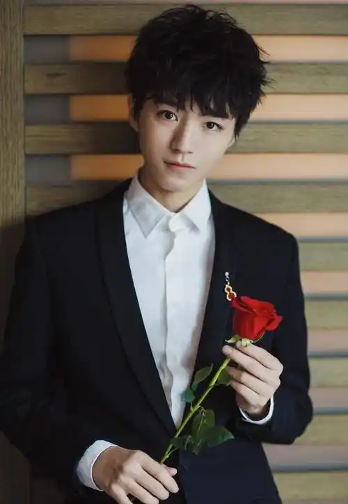 当年19岁的王俊凯,撕下多少同龄男星的"遮羞布"_父亲_明星_年龄