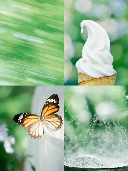 送你一个清爽的夏天这个滤镜也太清新了75