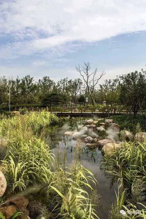 滨水景观营造共享水岸空间之美