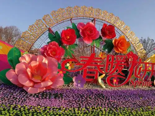 老同学们的春节花展.