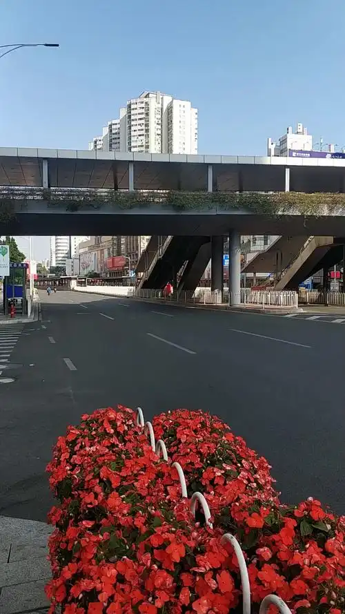 真的好美啊,广州天河岗顶