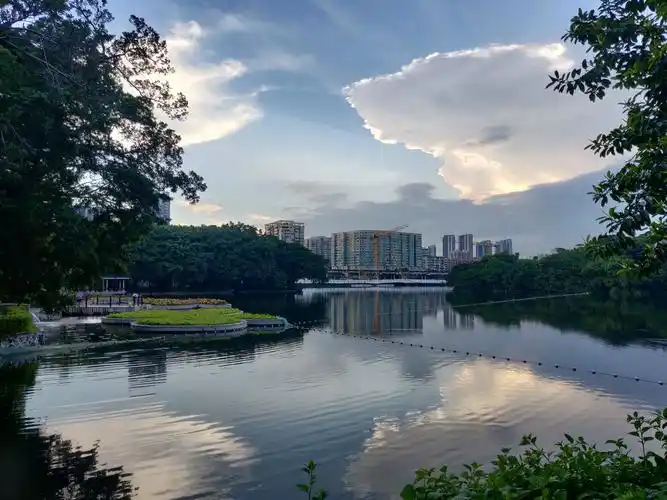 赏云追日一一拍摄地;广州流花湖公园