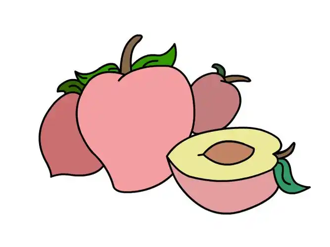 画一个切开的桃子.1.先画出中间最大的桃子.