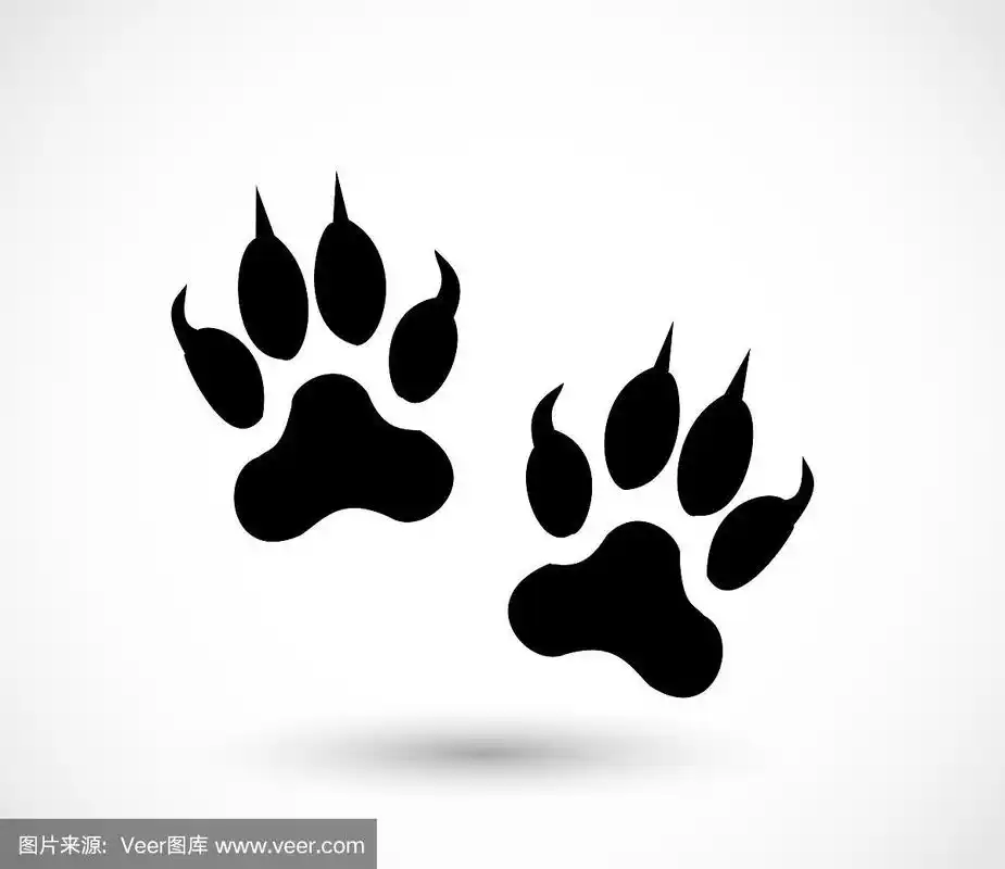 脚印,动物,绘画插图,野生猫科动物,背景分离