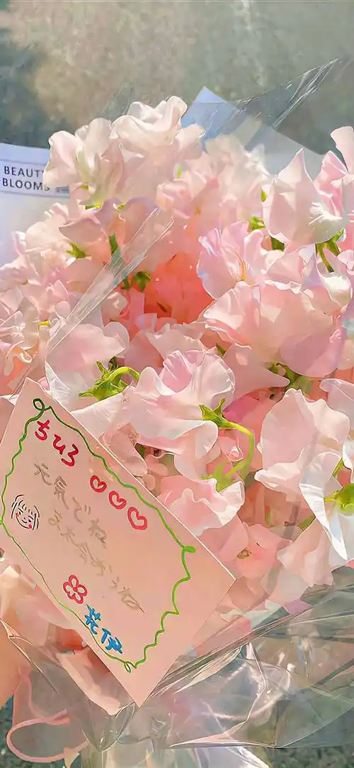 壁纸|粉色少女心锁屏壁纸套图 676767