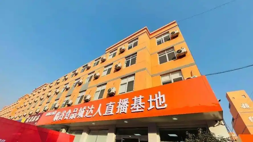 临沂,北方直播电商之都长成记_快手