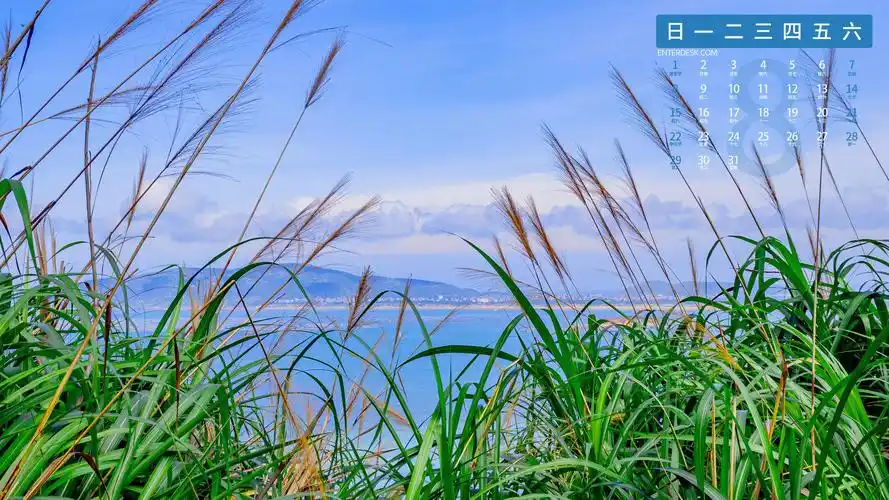 2021年8月蓝色大海日历,月历壁纸-回车桌面