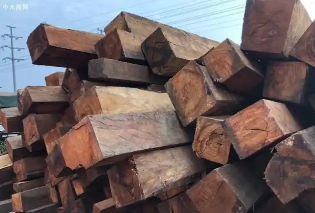 印度紫檀又叫印度花梨  缅甸花梨木现在大街小巷都非常熟悉的一种