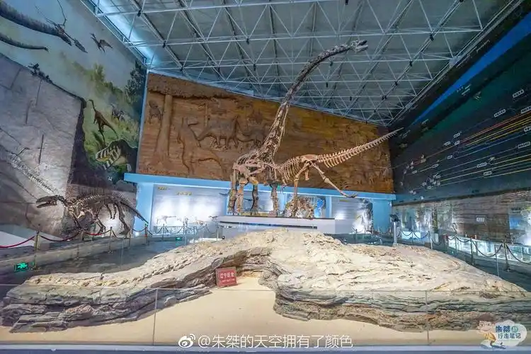 辽宁省朝阳市鸟化石国家地质博物馆