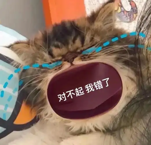对不起我错了猫咪张大嘴哭大嘴猫表情包