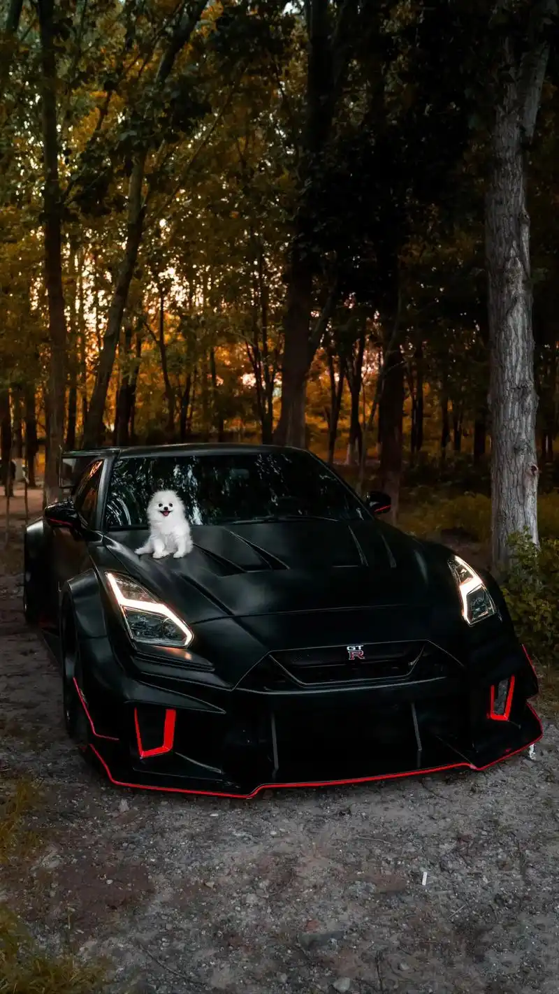 战车高清壁纸#gtr #超跑 #黑武士系列 #低趴姿态 - 抖音