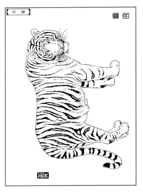 干货!十五张老虎高清白描线稿,喜欢艺术的快收藏起来,留着画!