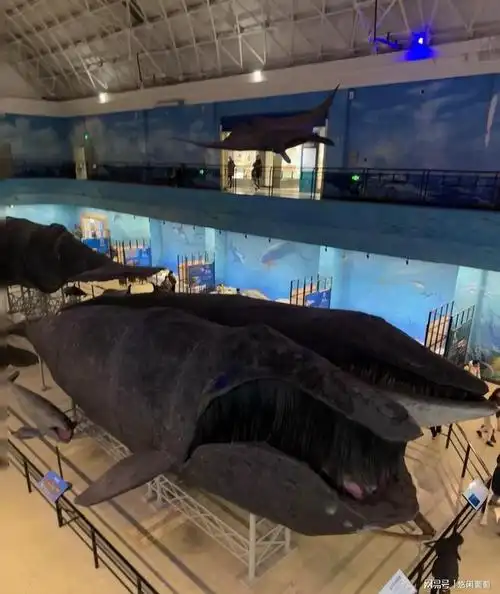 太值得了!大连自然博物馆太太震撼了