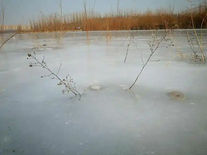冬天,小河结冰了,冰花润莹温情,所有的动植物都静静地沉睡了,游人也