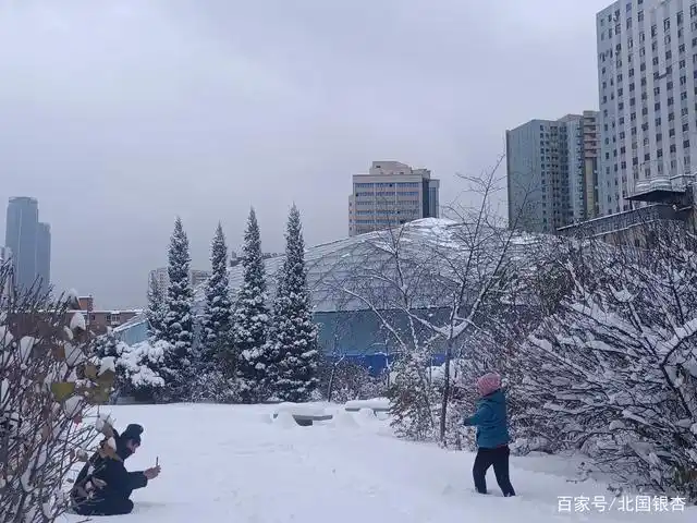 城市冬日雪景街拍