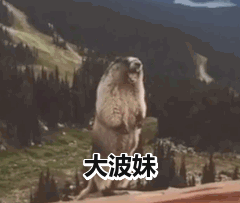 大波妹(土拨鼠呐喊表情包)_大波妹_土拨鼠_呐喊表情