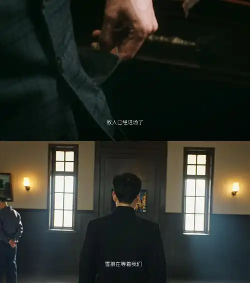 电视剧画眉定档1212##画眉定档