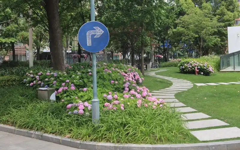 助力公园城市建设市绿化管理指导站开展单位附属绿地开放共享调研