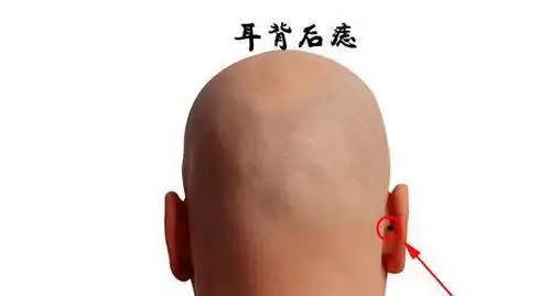 身体几大富贵痣藏暗财有靠山赚得少不了