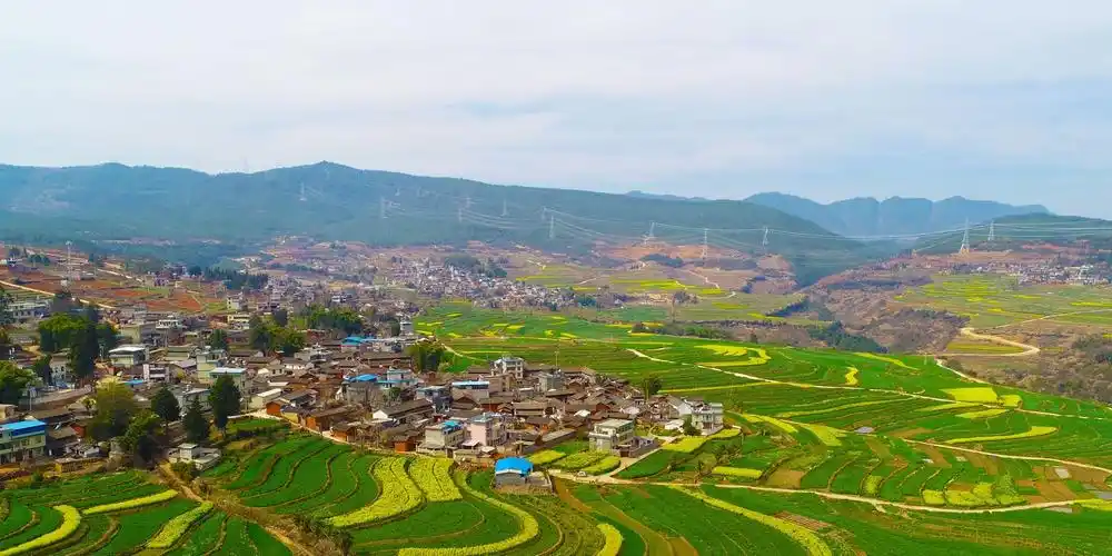 禄劝这里的油菜花开了,好漂亮!_高清图集_新浪网