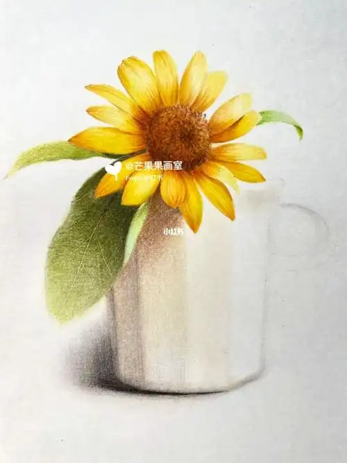 彩铅步骤图  #彩铅入门教程 #彩铅0基础入门教程 #彩铅花卉画法