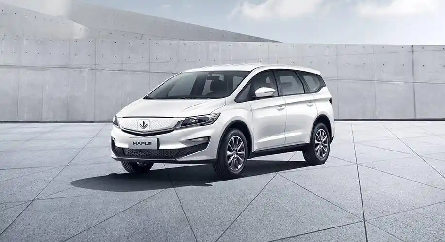 最大续航410km枫叶80v推六座版上市