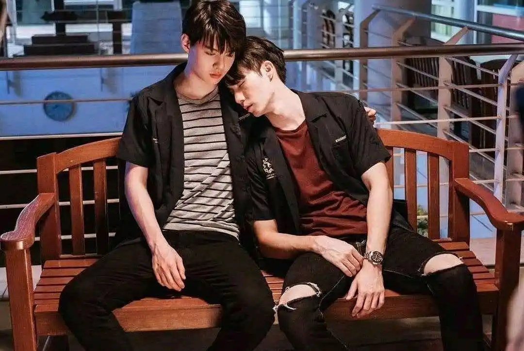 分享一些好看的bl泰剧,《与爱同居》,《爱情理论》在其中