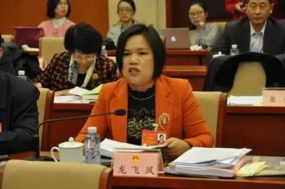 全国人大代表,湖南省江华县县长龙飞凤在发言 (记者 赵健 摄)