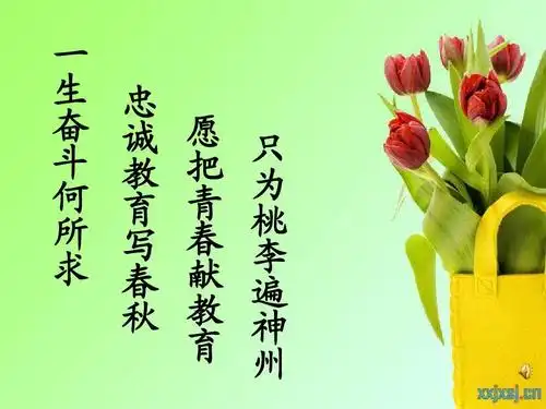 师德师风讲座 师德师风演讲稿 ppt背景图片免费下载 演讲比赛 教师