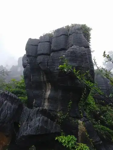 重庆金佛山景点三日游(三)