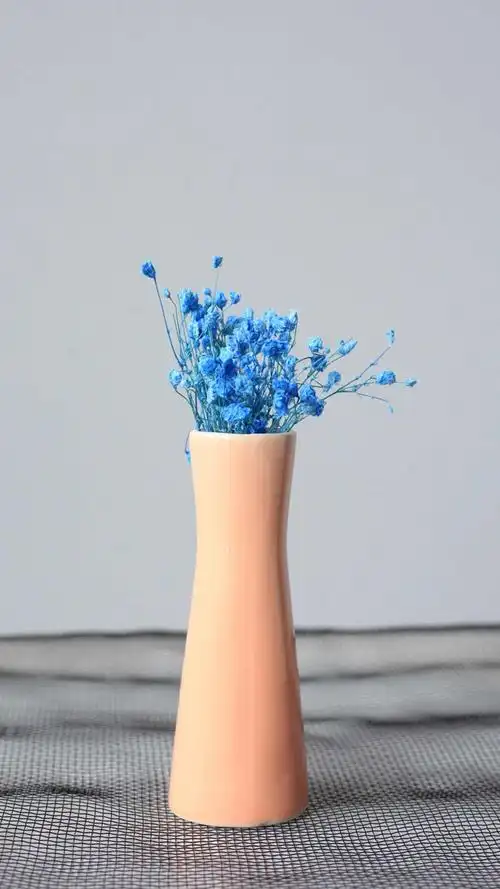 小清新唯美花卉静物图片手机壁纸