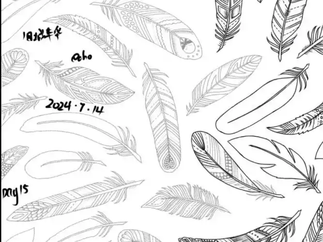 【绘画】线条打卡15,羽毛太难画了