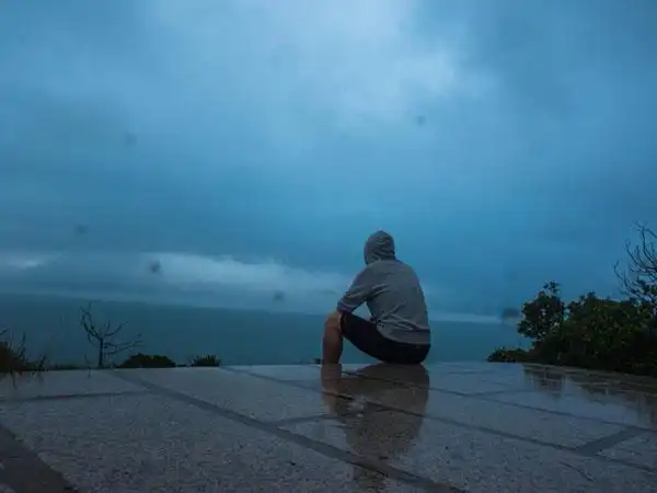 一窗江南雨,几丝江南情?