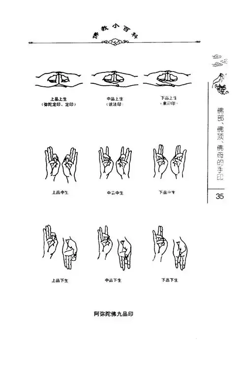 密法手印教学:阿弥陀九品印