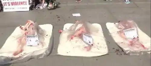 盒装人肉鲜血淋漓这不是食物这是人类的暴力