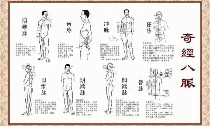 奇经八脉是督脉,任脉,冲脉,带脉,阴维脉,阳维脉,阴跷脉,阳跷脉的