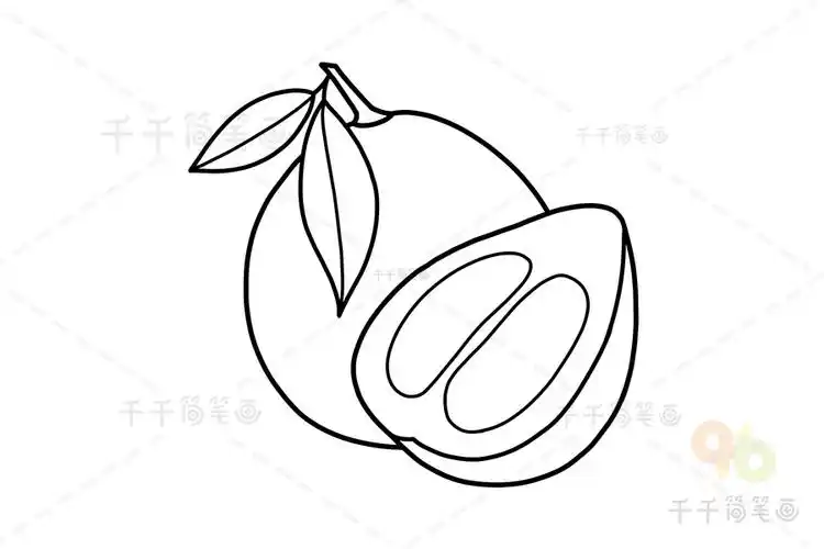 柚子简笔画_水果简笔画