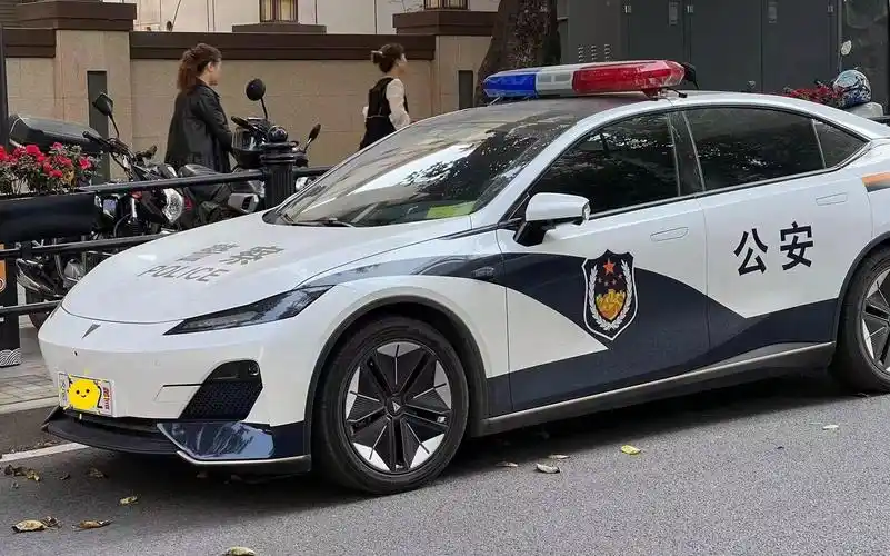 长安深蓝sl03警车涂装