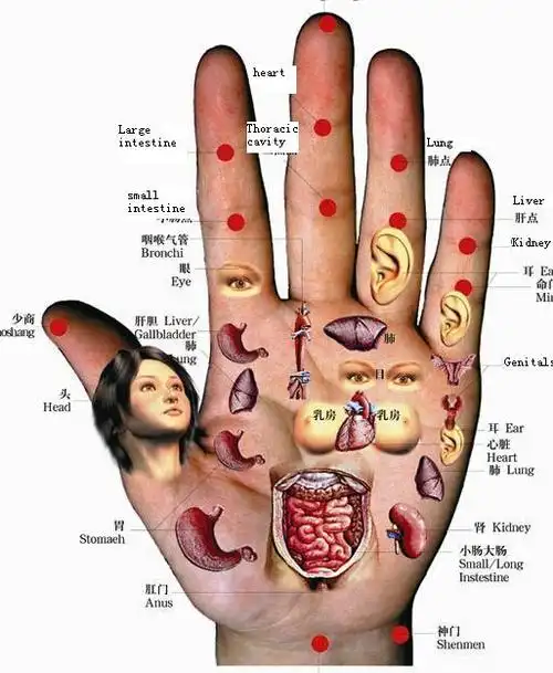 求医不如求己3003免费版